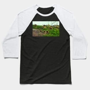 Multiple Young Canada Goose Goslings Resting In The Grass Baseball T-Shirt